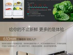 解析三洋冰箱F1故障现象及解决方法（探究三洋冰箱出现F1故障原因并提供可行解决方案）