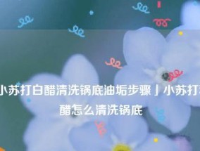 使用白醋和苏打清洗油烟机的小妙招（自然无污染）