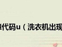 松下洗衣机历史报错代码解析（排查和解决松下洗衣机历史报错代码的方法）