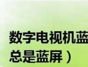 电视机蓝屏信号正常情况下的解决方法（如何修复电视机蓝屏信号问题）