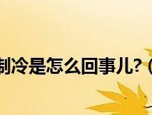 海尔冰箱不制冷的原因解析（解决海尔冰箱不制冷的常见问题）