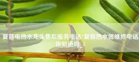 夏普热水器温度传感器故障分析及维修方法（解决夏普热水器温度传感器故障）  第1张