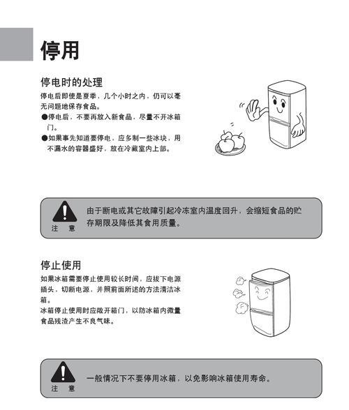 大葱冰箱保存方法（保鲜技巧）  第1张