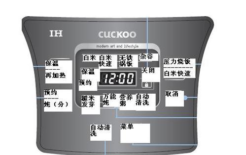 电饭煲自动放水不停问题的解决方法（探究电饭煲自动放水故障的原因及解决方案）  第1张